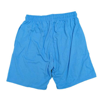 Sticker Shorts