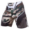 Sublimated Shorts